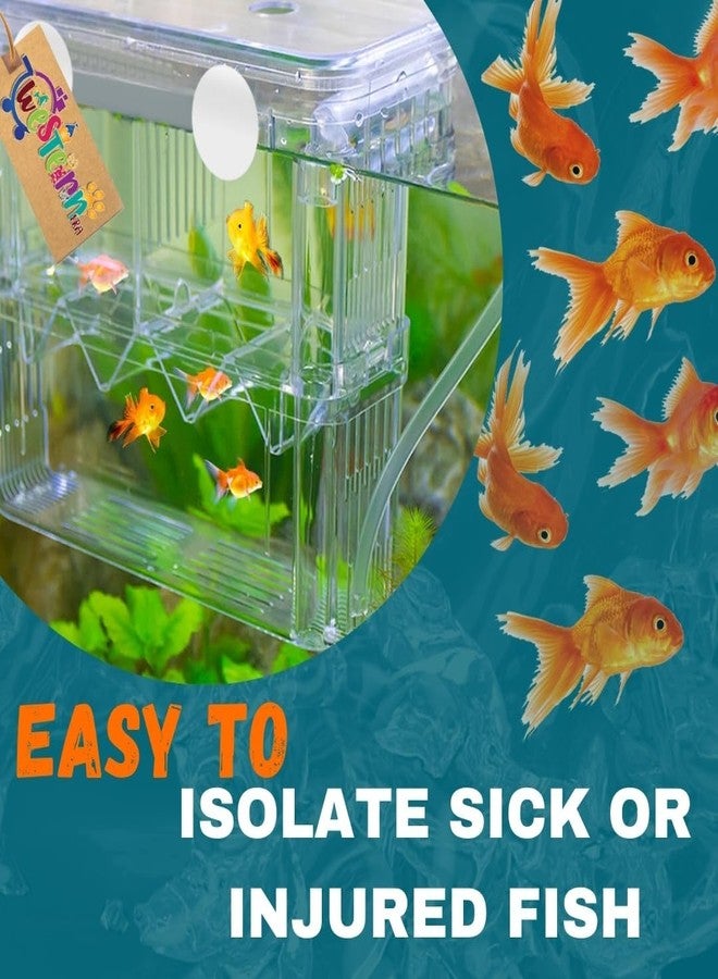 Western Era Fish Isolation Chamber Offers a Secure & efficient Method for segregating Fish Within an Aquarium. Its Adaptable Design Allows for Customized use as an Aquarium Isolation Chamber (Small) - Image 3